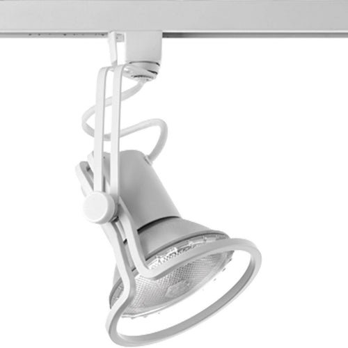 Alpha Trak Free Form PAR 30 Track Head – Progress Lighting